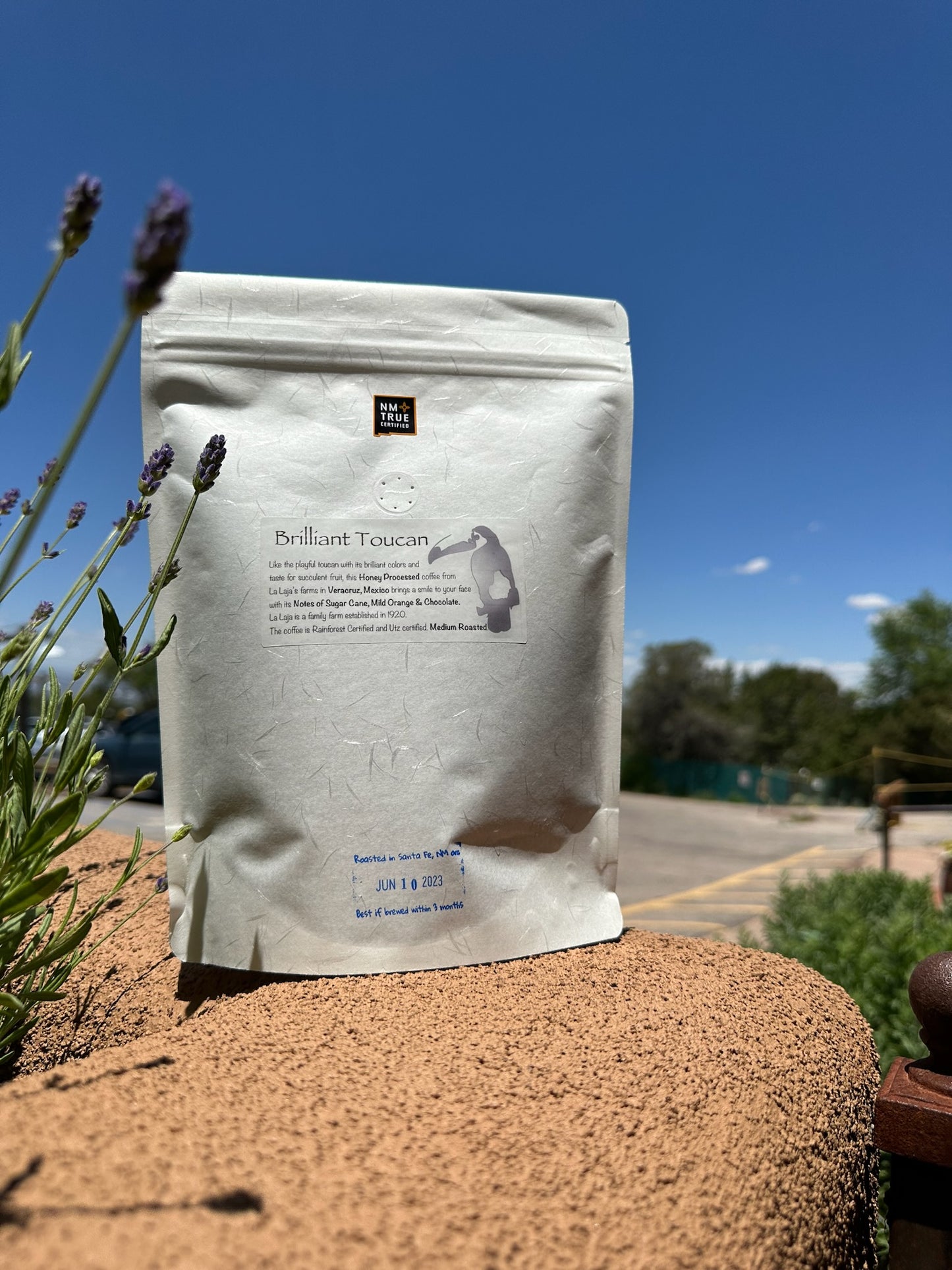 Brilliant Toucan Fresh Roasted Vera Cruz Coffee