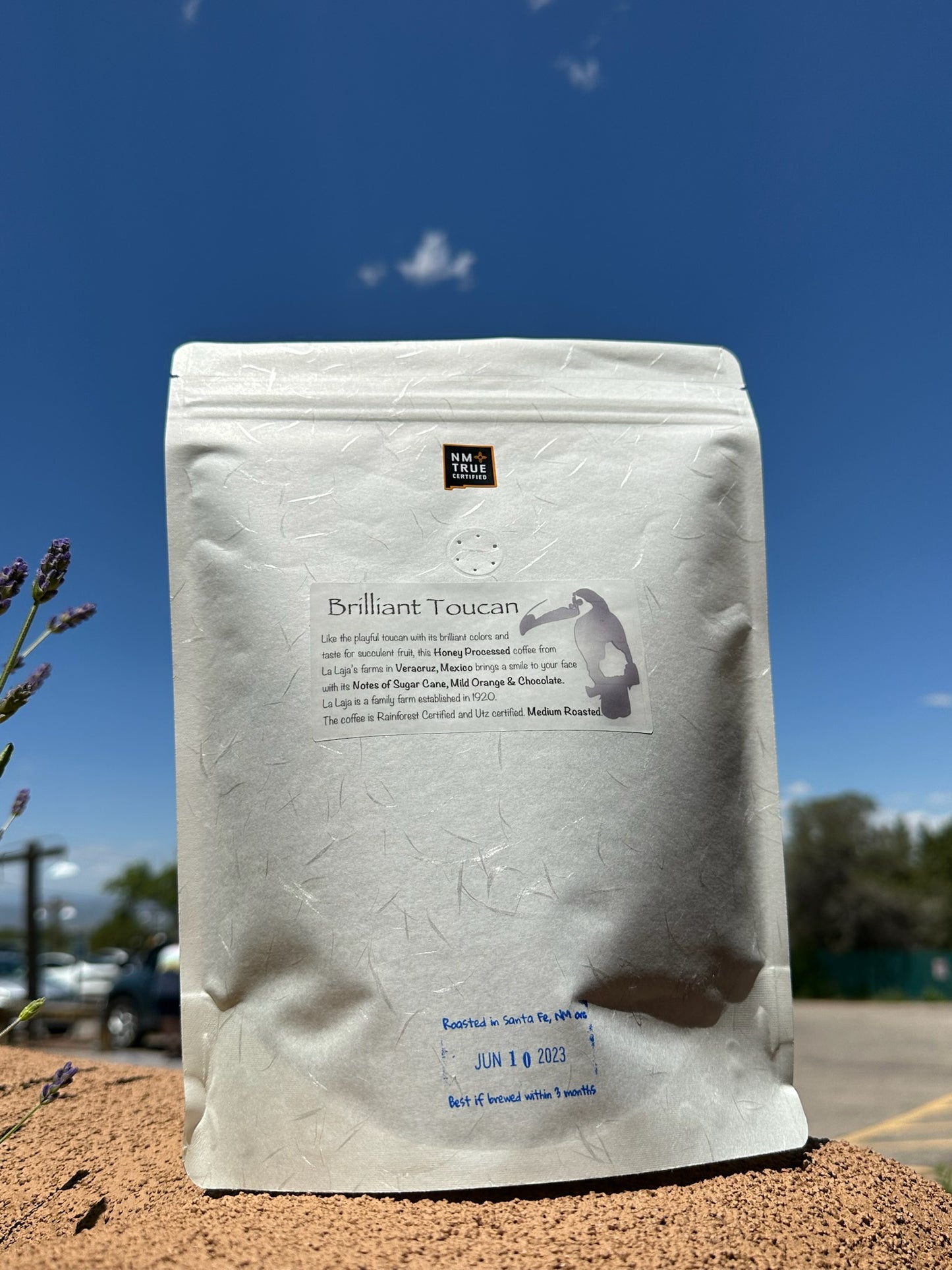 Brilliant Toucan Fresh Roasted Vera Cruz Coffee